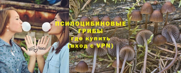 ALPHA-PVP Алексин