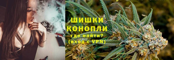 PSILOCYBIN Алексеевка