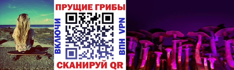 где продают   Тамбов  MEGA ССЫЛКА  Галлюциногенные грибы GOLDEN TEACHER 