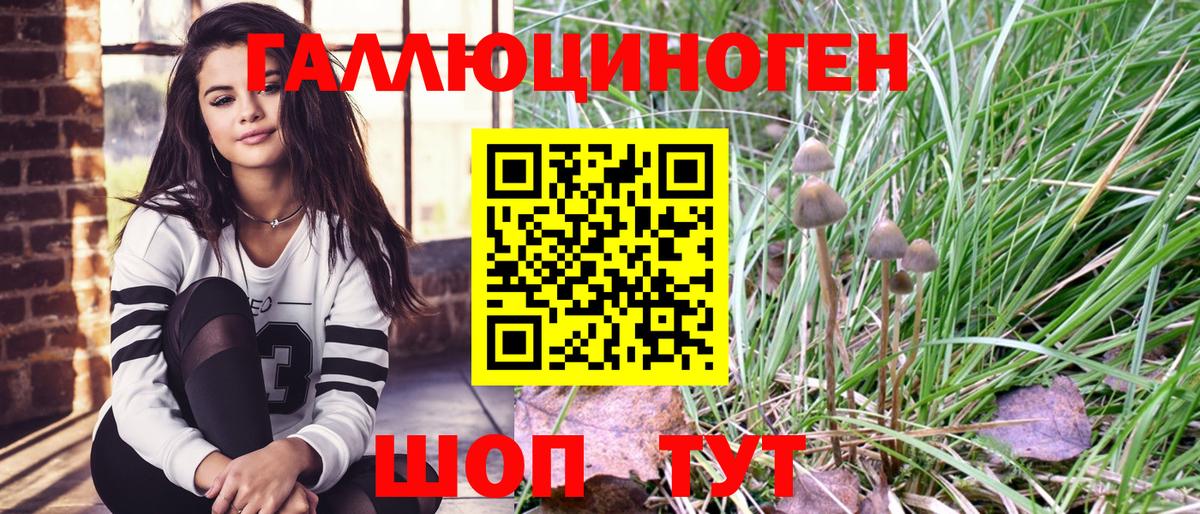 Псилоцибиновые грибы мицелий  Вход с VPN  Тамбов 